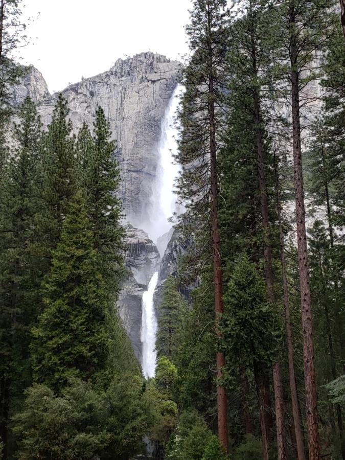 Yosemite Foothill Retreat Hotel Coarsegold Kültér fotó